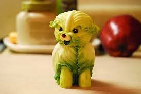 cabbage-dog