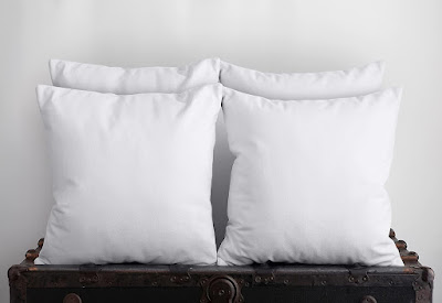 Bed and Couch Decorative Stuffer Pillows