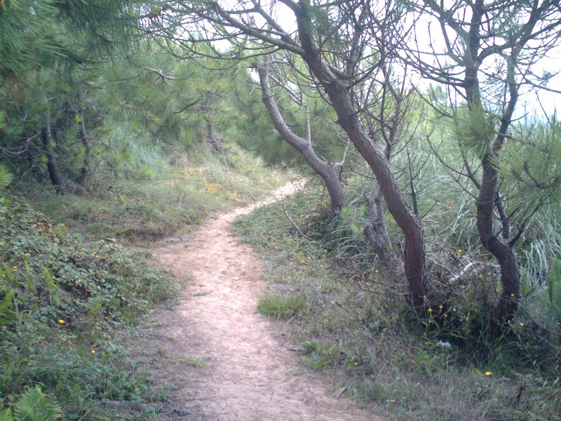 Dunas de Liencres