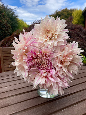 A vase full of Cafe Au Lait Twist dahlia flowers.