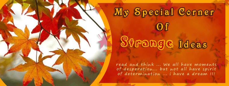 My Special Corner of Strange Ideas: Quotes about MEN