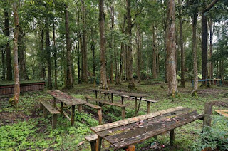 https://nonikhairani.com/2015/05/08/jalan-jalan-di-hutan/amp/