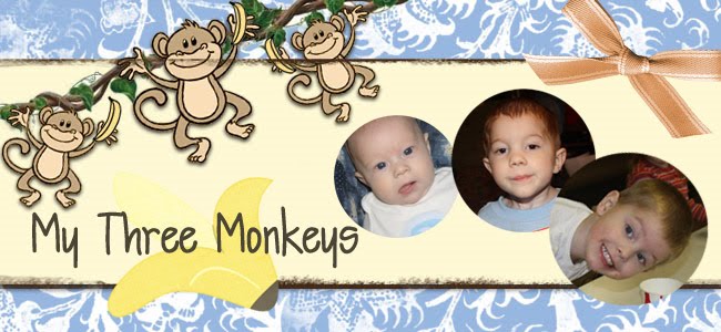 My Three Monkeys