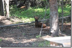 IMG_0515
