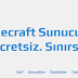 Bedava Minecraft Sunucusu Nasıl Açılır