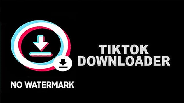 TikTok No Watermark Apk