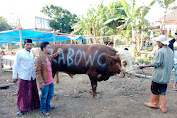 Prabowo Salurkan Puluhan Hewan Qurban ke Ponpes-ponpes dan Ormas Keagamaan di Jawa Barat