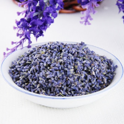 nụ hoa lavender khô