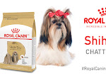 Free Royal Canin Shih Tzu Chatterbox Kit - Ripple Street
