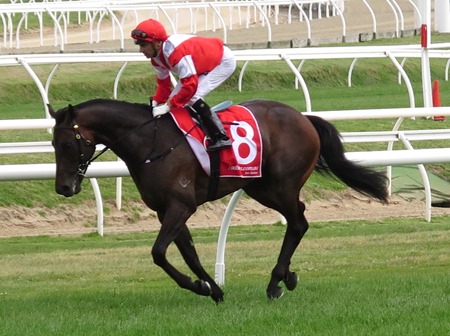 race 6_mongolian khan 3