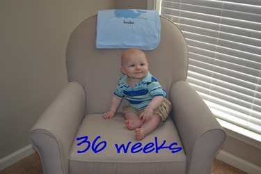 week 36