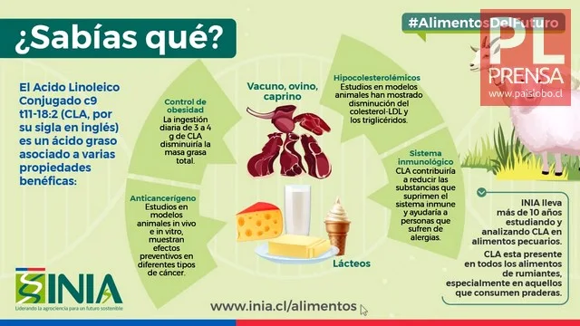 Infografía