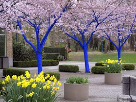 muebles-patio-jardin-azul