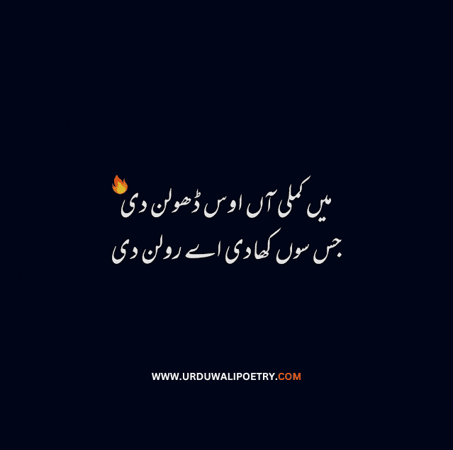 Best Punjabi Poetry in Urdu Lines | Punjabi Quotes in Urdu