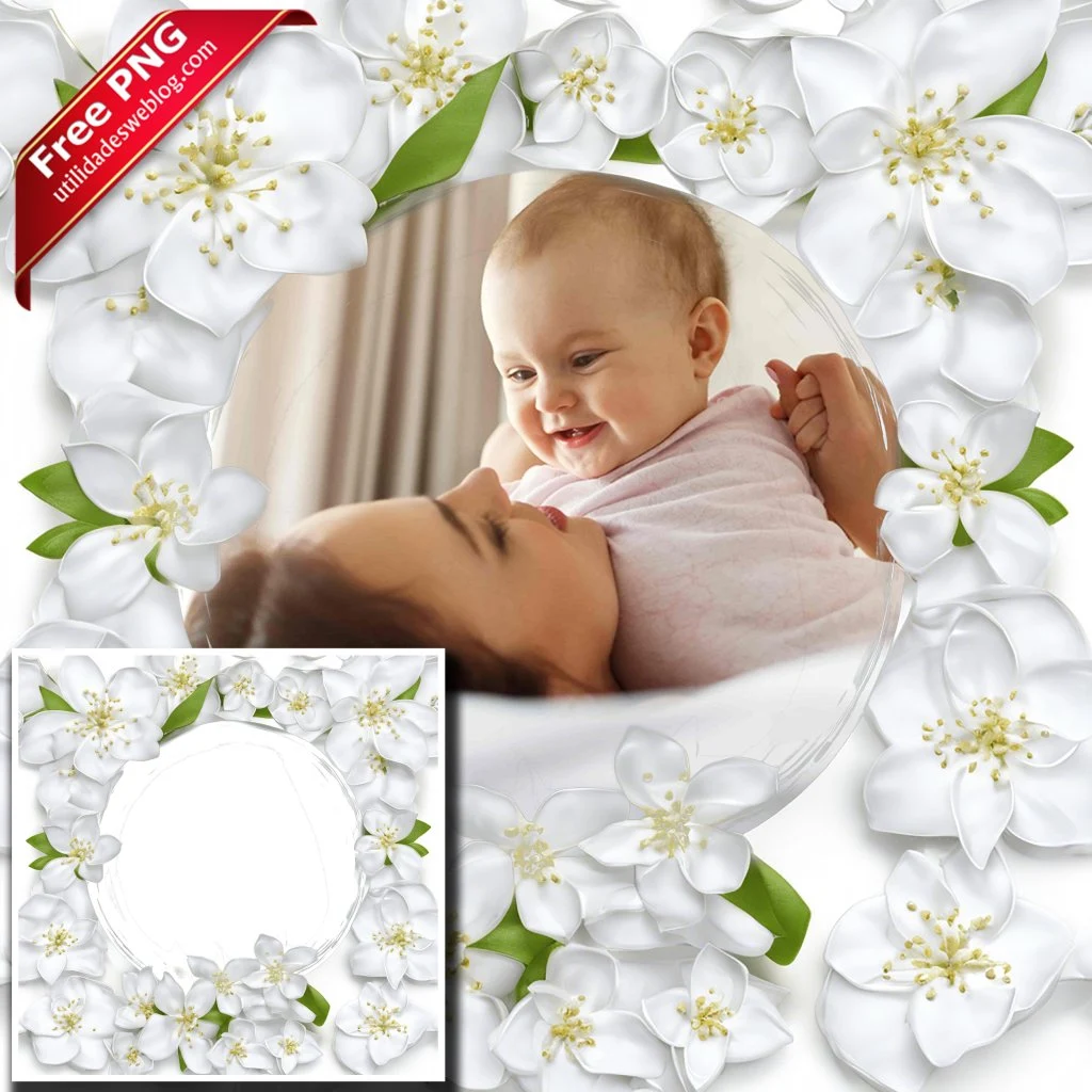 marco para fotos con flores de jasmin blancas en png con fondo transparente para descargar gratis