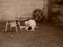 PICT0008.JPG