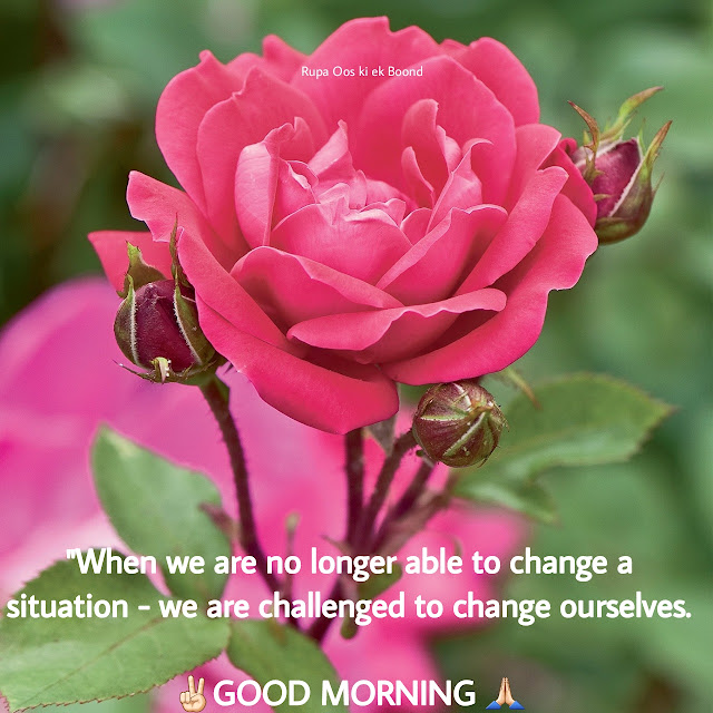 20 Beautiful & Positive Inspirational Good morning Quotes, Wishes and Messages