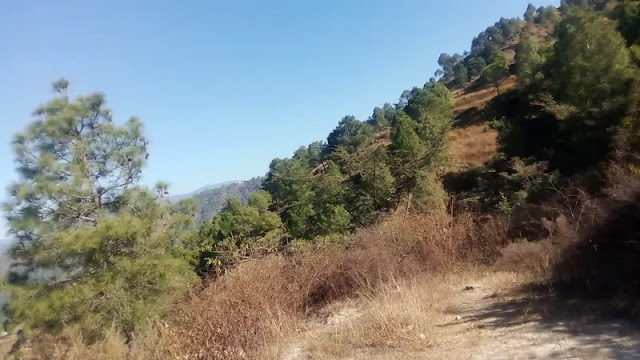 20 साल से अधूरे पड़े प्रोजेक्ट की धीमी गति से जनता त्रस्त