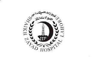 Latest Shaikh Zayed Hospital Engineering Posts Lahore 2023