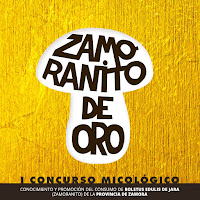 Zamoranito de Oro 2017