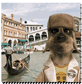 clip_image016