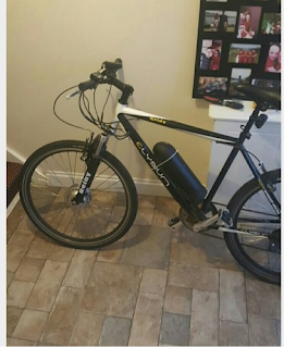 Stolen Bicycle - Electric Elysium Relay