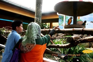 Langkawi Wildlife Park