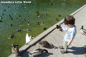 Swanbourne Lake near Arundel feeding the ducks