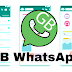 What is GB WhatsApp! Full Example in Urdu