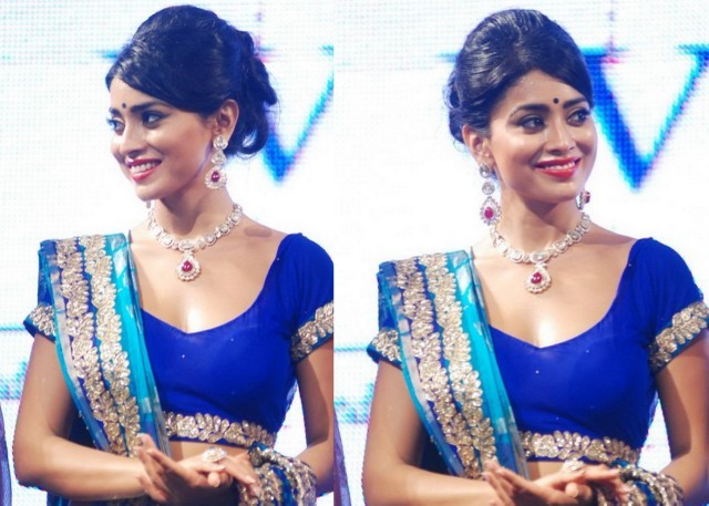 Shriya Saran Classy Necklace