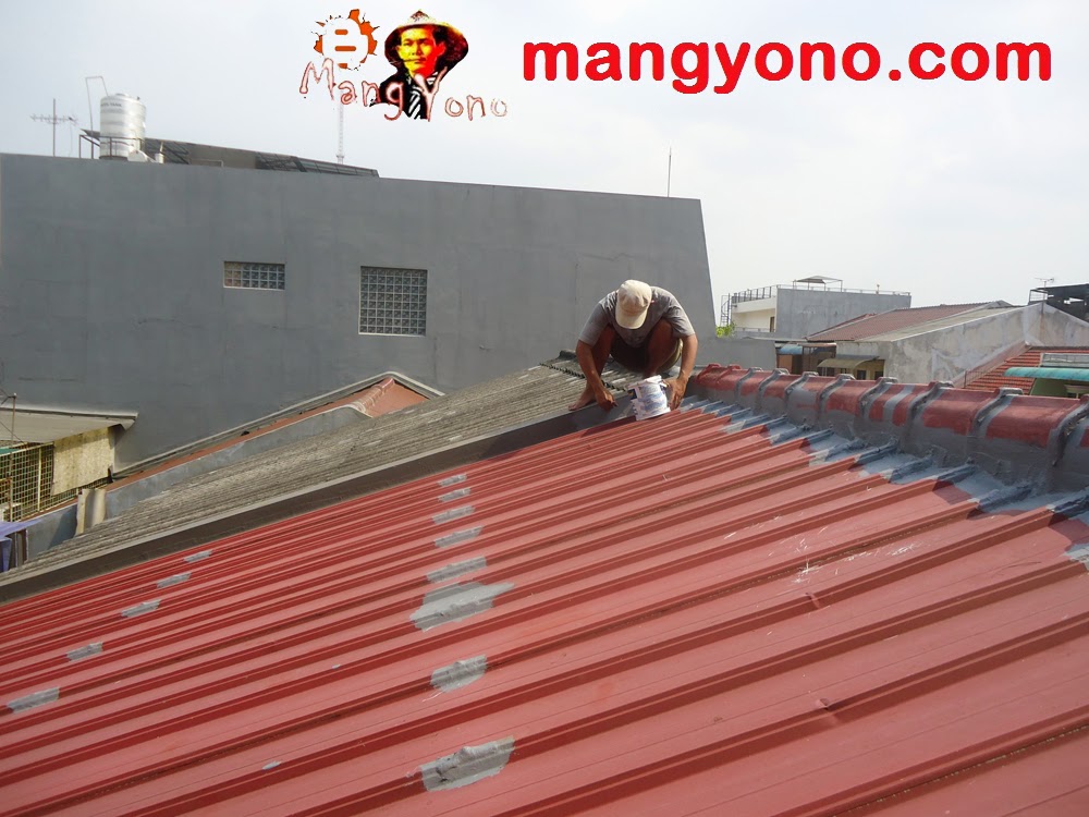 Bagaimana cara agar atap rumah tidak bocor Blog Mang Yono