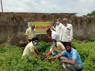 भारत विकास परिषद का स्थापना दिवस वृक्षारोपण एवं आरोग्य काढ़ा वितरण कर मनाया