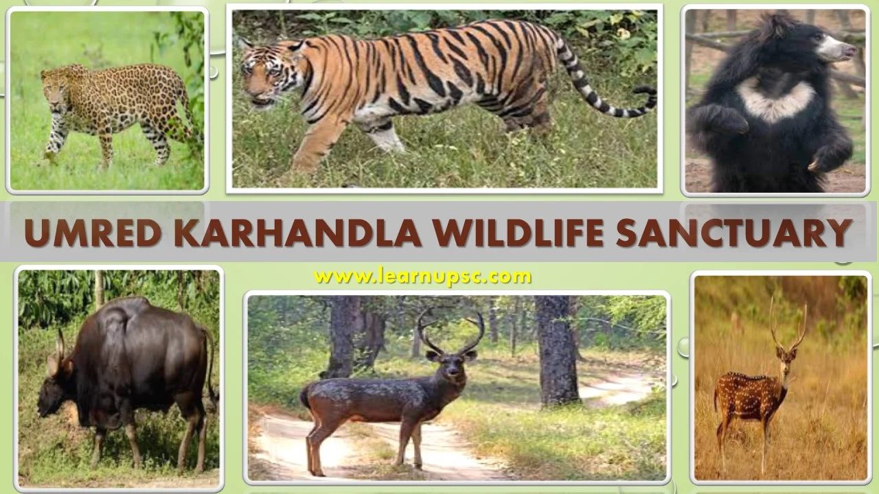 Umred Karhandla Wildlife Sanctuary