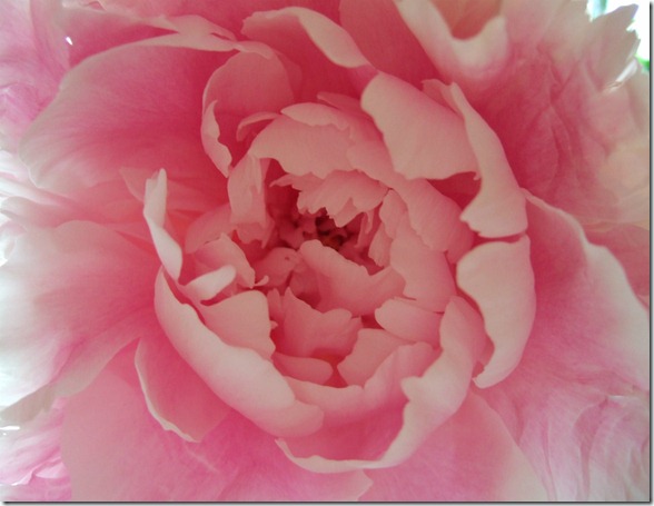 046