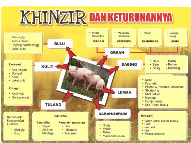 Laman Paksu: Segmen Pesan Pak Su : Khinzir Digunakan 