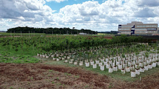 Biopark, Paraná, Toledo, natureza, conservação, educação ambiental