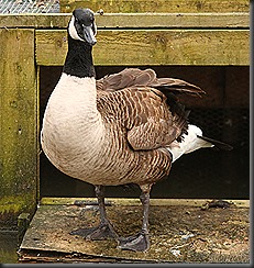 IMG_9175