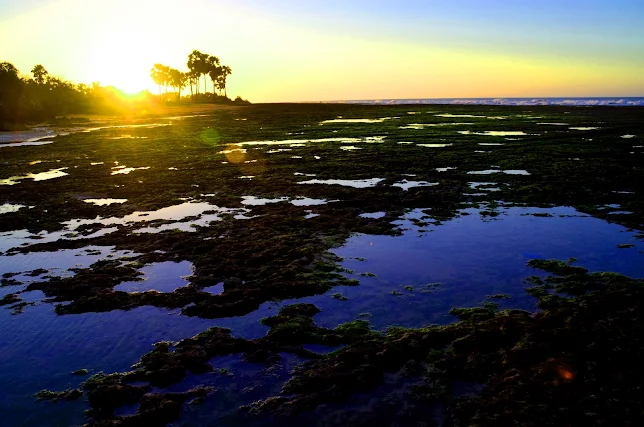 Rare Sunset