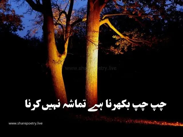 Urdu Captions - For Instagram, Facebook, Copy and Paste images