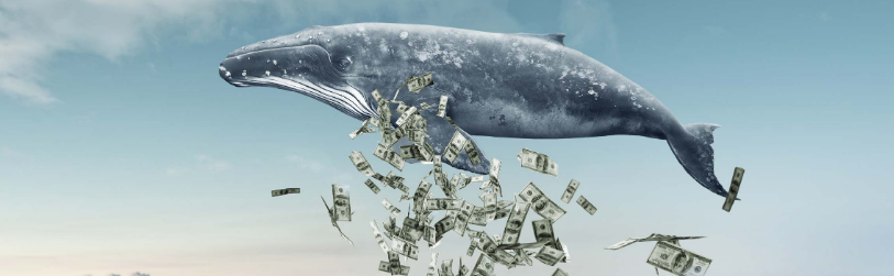 Bittrex joins booming OTC market - but who is driving demand?