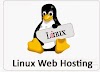 Why Linux Makes As an Ideal Choice for Hosting OS – Some Advantages