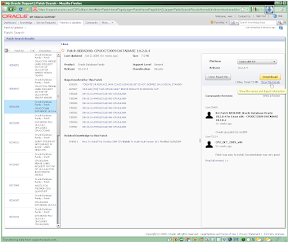 oraclepatch-12-filedetail.png