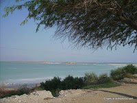 Mar Muerto, Fotos de Israel