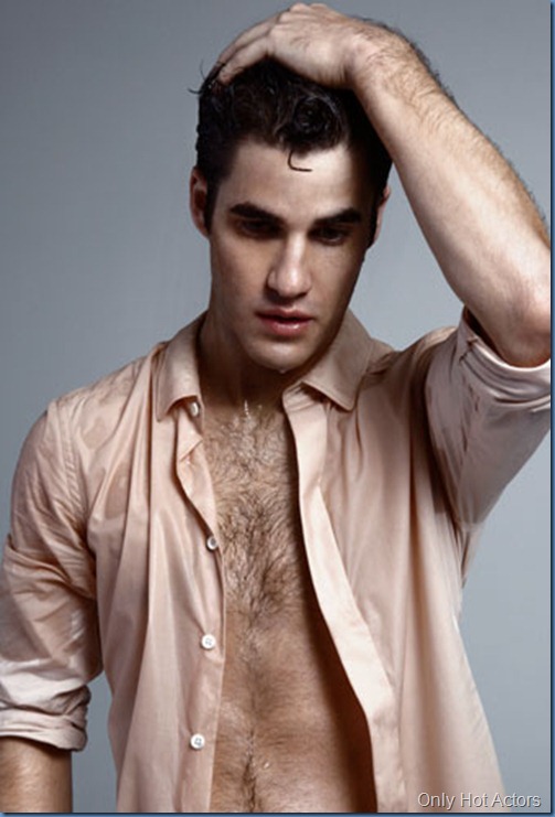 Darren Everett Criss1