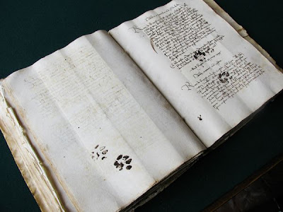 Ada jejak kaki kucing di sebuah catatan kuno abad 15