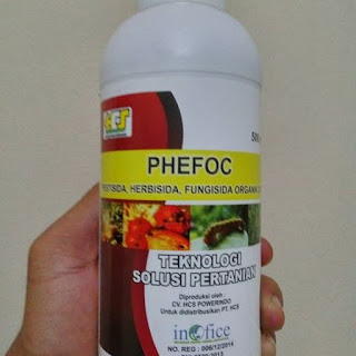 PHEFOC HCS (Pestisida Herbisida Fungisida Organik Cair)