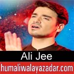 https://www.humaliwalayazadar.com/2015/07/ali-jee-nohay-2007-to-2016.html