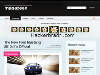 Wordpress Premium themes free download Magazeen Wordpress theme Free Download hackerbradri.com