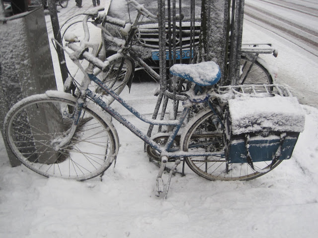 自転車に積もった雪 #NetherlandsSnow