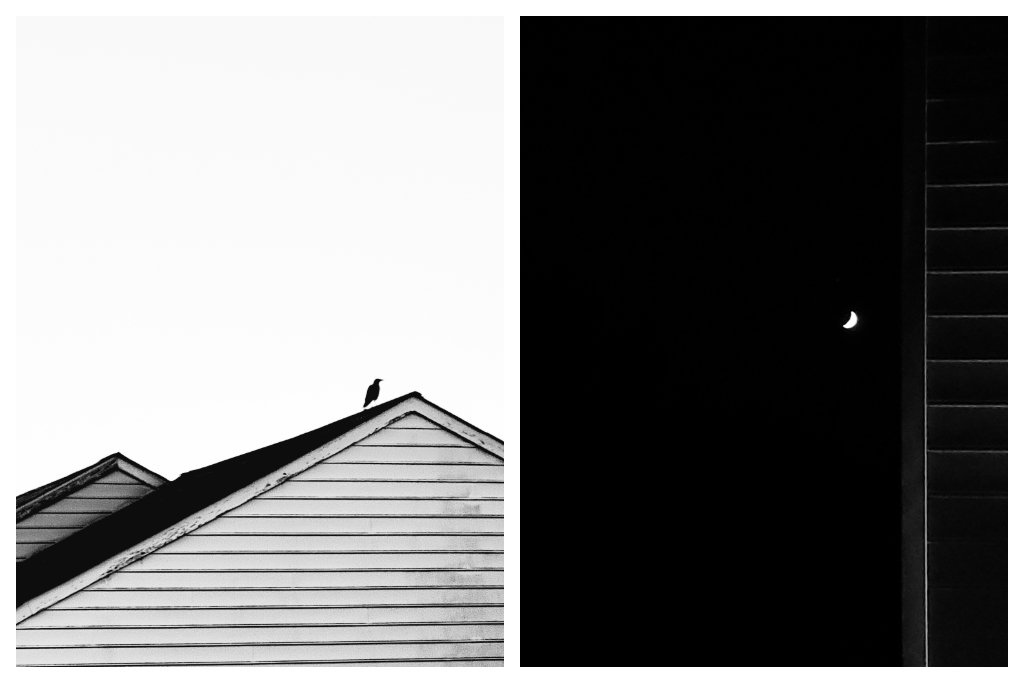 A monochrome frame of a cresent moon in the night sky next to vinyl sidings of a townhome mildly lit by street light juxtaposed alongside a monochrome frame with a silhouette of a crow on the roof a townhome on a bright sunny day
